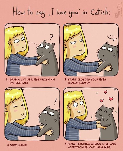 How To Say I Love You, Uppfostra Barn, Katt Grejer, Cat Language, Koci Humor, I Love Cats, Haiwan Lucu, Cat Comics, Kitten Care