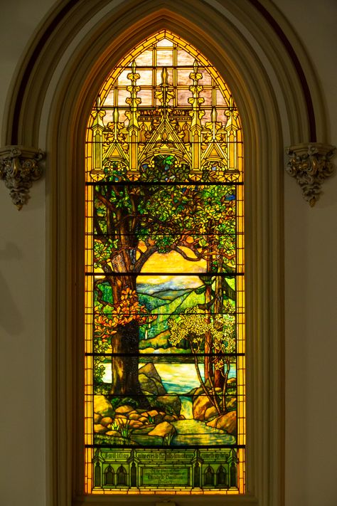 Stained Glass Yellow, Tiffany Stained Glass Windows, Glass Entrance Doors, Stain Glass Window Art, Stained Glass Church, Glass Window Art, Church Windows, Tiffany Stained Glass, Presbyterian Church