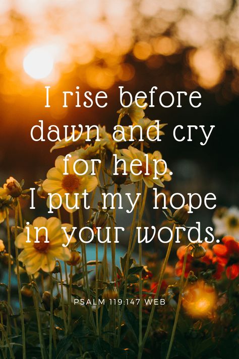 flowers with sunrise - Psalm 119:147 - I rise before dawn and cry for help. I put my hope in your words. Writing Scripture, Psalms 119, Oldest Bible, Praising God, Quote Bubble, Favorite Verses, Journal Notes, Bible Journal Notes, The Great I Am