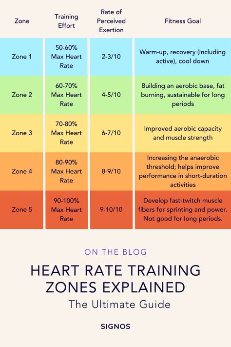 Calculating heart rate zones can help you be more efficient with your exercise and reach your specific fitness goals, whether it be weight loss, reducing the risk of injuries, or muscle gain. This article explains the different levels of heart rate zones and why you should pay attention to your heart rate while exercising. Heart Rate Variability, Heart Rate Training, Target Heart Rate, Heart Rate Zones, Park Workout, Workout Results, Calisthenics Workout, Muscle Gain, High Intensity Interval Training