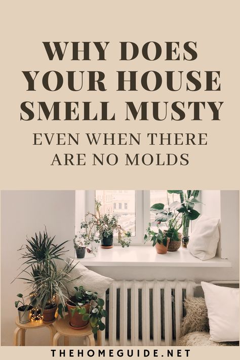 Musty Smell In House, Deodorize House, Old House Smells, Basement Odor, Clean House Smell, Mold Smell, Make Your House Smell Good, Mildew Smell, House Smell Good