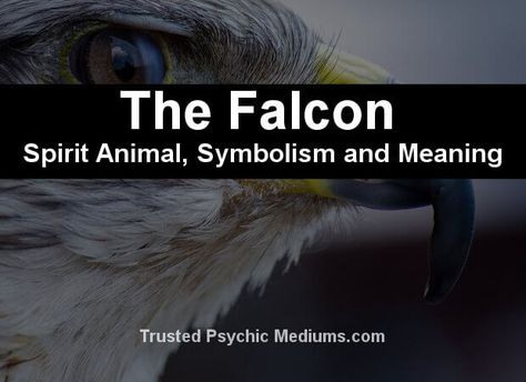 Bird Spirit Animal Meaning, Falcon Meaning Spirit Animal, Falcon Spiritual Meaning, Hawk Meaning Spirit Animal, Spiritual Meaning Of Hawk, Hawk Symbolism, Falcon Tattoo, Spirit Animal Meaning, Totem Animals