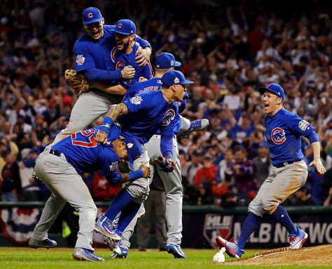 Chicago Sports Teams, Chicago Cubs World Series, Cubs Win, Go Cubs Go, American Games, Chicago Cubs Baseball, Cubs Baseball, Chicago Sports, Sports Images