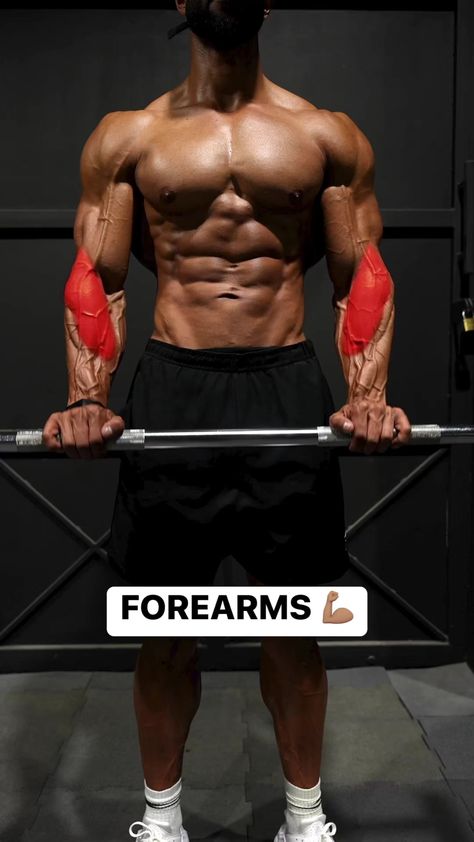 Firing up the FOREARMS 💪🏽 Let's get this done brothers! #arms #workout | Romane Lanceford | GANK · Resurrection Latihan Dada, Forearm Workout, Bodybuilding Workouts Routines, Gym Workout Planner, Arms Workout, Bodybuilding Workout Plan, Gym Workout Chart, Workout Training Programs, Gym Workouts For Men