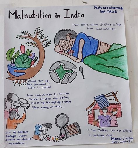 Malnutrition Poster, Malnutrition Children, Science Fair Projects Boards, Cover Page For Project, India Poster, Satirical Illustrations, Food Insecurity, Fair Projects, Poster Drawing