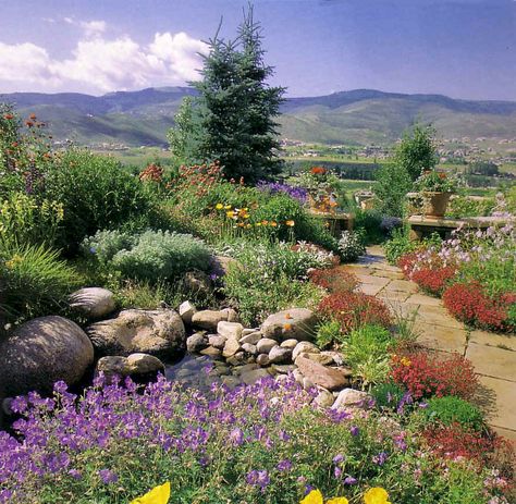 Colorado Colorado Style Landscaping, Colorado Landscape Design, Colorado Native Landscaping, Ranch House Landscaping, Colorado Backyard, Colorado Landscaping, Acreage Landscaping, Colorado Nature, Xeriscape Landscaping