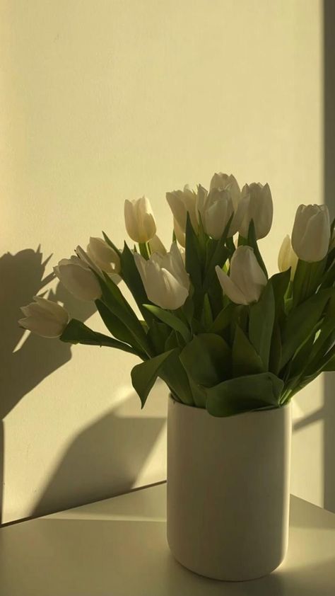 Nothing But Flowers, Plant Aesthetic, Flower Therapy, White Tulips, White Aesthetic, Green Aesthetic, Home Decor Tips, Ikebana, Love Flowers