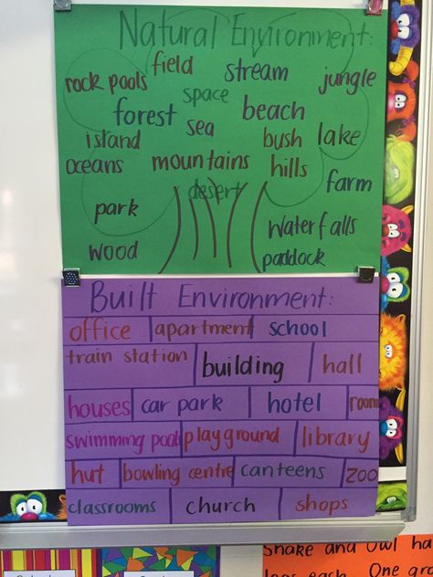 Natural and built environment brainstorm kindergarten Natural Vs Man Made Kindergarten, Plant Inquiry Kindergarten, Soils In The Environment Grade 3, Interactions In The Environment Grade 7, Nature Kindergarten, Environment Activities, Man Made Environment, Classroom Shop, First Grade Science