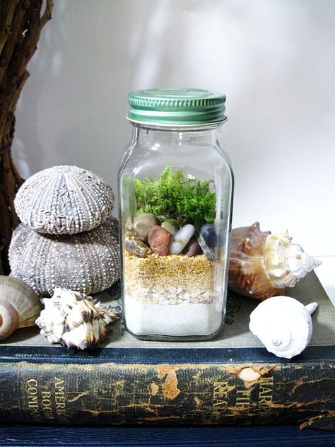 Nature Study Terrarium: Layered Natural Elements by DoodleBirdie Jar Terrarium, Cactus Terrarium, Terrarium Jar, Aquascape Design, Miniature Terrarium, نباتات منزلية, Mini Terrarium, Jar Design, Terrarium Diy