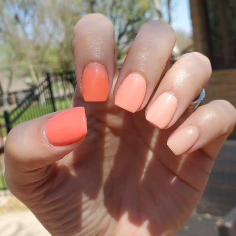 Color Gradient Nails Summer, Gradient Color Nails, Spring Gradient Nails, Peach Gradient Nails, Gradient Dip Nails, Peach Dip Powder Nails, Peach Dip Nails, Powder Dipped Nails Colors Summer, Nail Dipping Powder Colors For Summer