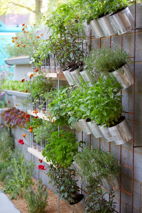 Creative Upcycling, Vertical Garden Design, Vertical Garden Wall, Vertical Herb Garden, Plants Growing, Walled Garden, Veg Garden, Tin Cans, School Garden