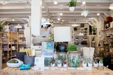 Retail Merchandising Tips and Tricks For Growing Your Business Long Narrow Retail Space, Store Display Table, Shop Merchandising, Merchandising Tips, Display Retail, Retail Space Design, Plant Shop, Retail Sales, Retail Merchandising