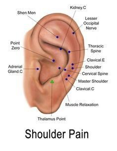 Ear Acupressure Points, Ear Reflexology, Ear Seeds, Acupuncture Benefits, Ankle Pain, Shiatsu Massage, Acupuncture Points, Acupressure Points, Muscle Relaxer