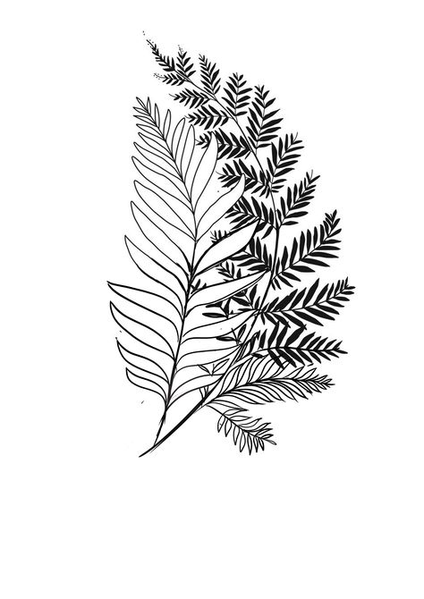 Blackwork Fern Tattoo, Abstract Fern Tattoo, Plant Hip Tattoo, Fern Leaf Drawing, Tlou Tattoo, Painted Purses, Lisa Thomas, Shin Tattoo, Vine Tattoo