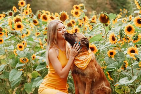 Sunflower Field Dog Photoshoot, Sunflower Field Photoshoot With Dog, Dog Sunflower Photoshoot, Sunflower Field Senior Pictures, Senior Picture Ideas Sunflower Field, Senior Picture Ideas With Dogs, Senior Photos With Dog, Hippie Senior Pictures, Sunflower Poses