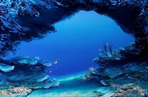 Underwater World Aesthetic, Aquatic Landscape, Ocean Wallpapers, Underwater Scenery, Underwater Landscape, Sea Stuff, Background References, Wide Wallpaper, Reference Ideas