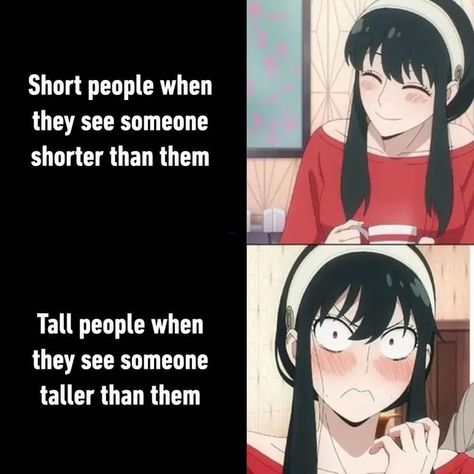 9GAG: Go Fun The World on Instagram: "hi cutie VS dammit - #height #tall #short #memes #9gag" Tall Vs Short, Short Friend, Short Memes, Short Height, Short People, Tall People, Girl Memes, Short Girls, Memes