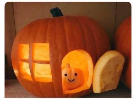 Funny Pumkin Carvings, Creative Pumpkin Carving Ideas, Halloween Pumpkin Crafts, Cute Pumpkin Carving, Pumkin Carving, Halloween Pumpkin Carving Stencils, Creative Pumpkin Carving, Amazing Pumpkin Carving, Pumpkin Carving Ideas