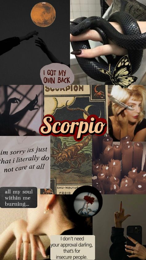 #scorpio #scorpioaesthetic #zodiac #zodiacsign #zodiacaesthetic #aesthetic #collage #vibes Scorpio + Core + Aesthetic, Scorpio Core, Mythological Monsters, Insecure People, Scorpio Art, Scorpio Zodiac Facts, Zodiac Signs Scorpio, Scorpio Season, Scorpio Sign