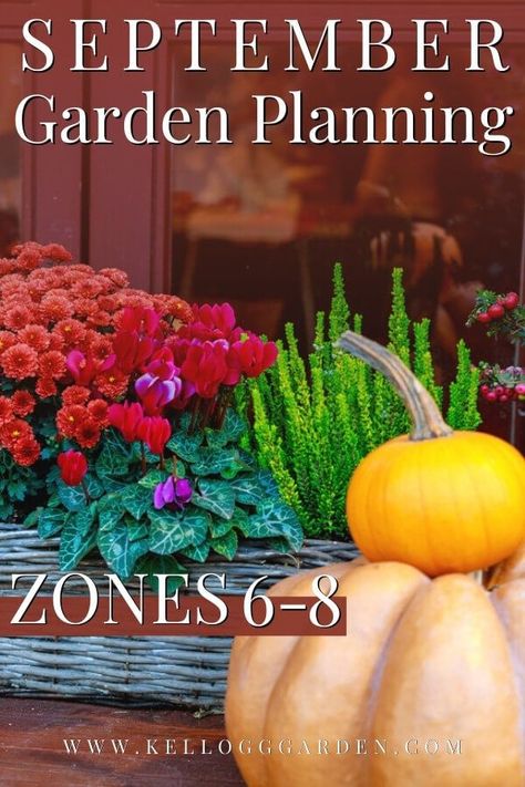 What Can You Plant In September, Zone 6 September Planting, Zone 8 September Planting, Zone 6 Winter Garden, Fall Planting Flowers Zone 7, Planting In September Zone 8, September Garden Planting, Fall Garden Zone 6, Fall Vegetable Gardening Zone 8