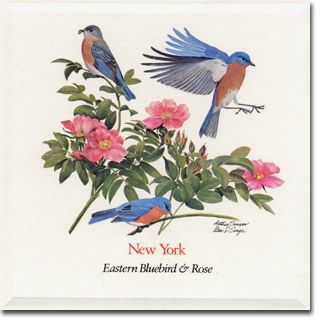 New York  State Flower and Bird Indiana State Flower, Cardinal Tattoo, Bird Cardinal, Barrel Ideas, State Flowers, Flower Peony, American Meadows, Beauty Marks, Flower Seeds Packets