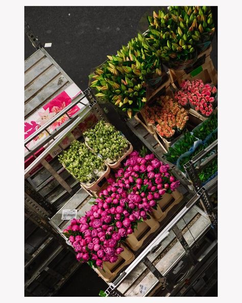 Scenes from an average day at @royalfloraholland, the worlds largest flower auction! They sell millions of blooms every day from this giant warehouse in Aalsmeer, NL. Watching all the lots get moved around as they sold was like a ballet Flower Warehouse, Get Moving, Large Flowers, Worlds Largest, Every Day, Auction, Ballet, Flowers, Quick Saves