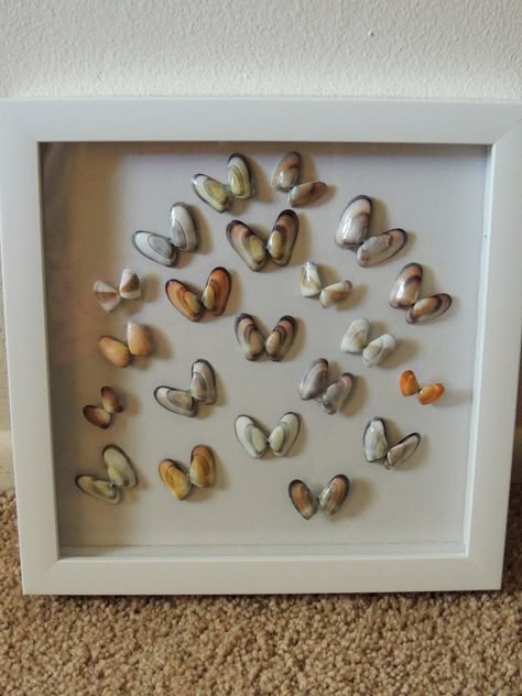 Mini Seashell Crafts, Sea Shell Storage Ideas, Seni Resin, Seashell Art Diy, Shells Diy, Seashell Projects, Art Coquillage, Sea Shell Decor, Sea Crafts