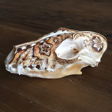 Pyrography racoon skull by TimberleeEU Bone Pyrography, Skull Pyrography, Animal Skull Art, Painted Animal Skulls, Animal Skull Decor, Skull Real, Raccoon Skull, Deer Skull Art, Painted Cow Skulls