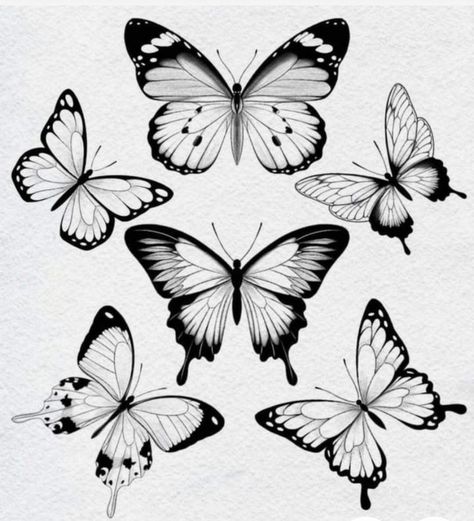 Ornamental Butterfly Tattoo, Fineline Butterfly Tattoo, Tattoo Papillon, Tattoo Ornament, Butterfly Tattoos Images, Borboleta Tattoo, Butterfly Tattoo Stencil, Butterfly Outline, Butterfly Tattoo Designs