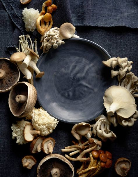 Six autumnal recipes that will make your mushrooms magic — Gourmet Traveller Autumnal Recipes, Mushroom Food, How To Cook Mushrooms, Mushroom Recipes, Southern Belle, Veggie Recipes, Food Photography, First Time, Melbourne