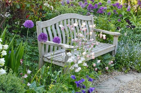 Cottage Garden Border, Garden Border Ideas, Cottage Garden Borders, Small City Garden, Country Garden Decor, Pretty Cottage, Border Ideas, Garden Border, Cottage Garden Design