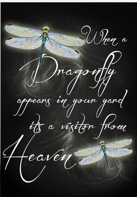 Everything Dragonfly | Look at this !!😍😍😍 | Facebook Mom Signs, Dragonfly Quotes, Tattoo Baby, Dragonfly Tattoo, Dragonfly Art, Girl Tattoo, Dragonfly Necklace, Neat Ideas, After Life