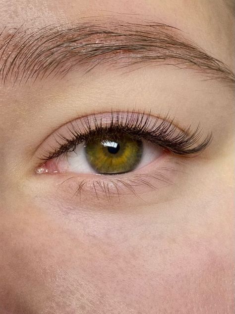 ресницы Perfect Eyelashes Natural, Subtle Lash Extensions, Single Eyelash Extensions, Natural Looking Eyelash Extensions, Types Of Eyelash Extensions, Eyelash Extensions Classic, Classic Eyeliner, Natural Fake Eyelashes, Small Lashes