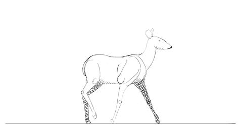 ArtStation - 2D animation exercise, Eléonore Legrade Deer Walk Cycle, Deer Animation, Animation Exercises, 2d Animation Gif, Animation Drawing Sketches, Walking Animation, Principles Of Animation, Animal Movement, Deer Drawing