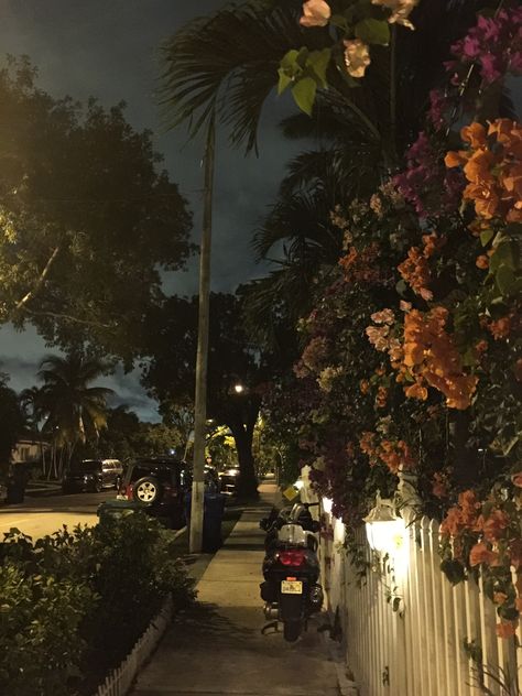 Little Haiti Miami at night. Tropical Night Aesthetic, Island Night Aesthetic, Miami At Night Aesthetic, Florida Night Aesthetic, Florida Aesthetic Night, Haiti Wallpaper, Haiti Aesthetics, Miami Night Aesthetic, Miami Aesthetic Night