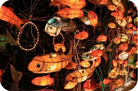 Brasov, Cinematic Photography, Goldfish, Pretty Art, Pretty Pictures, Art Inspo, Eye Candy, Lanterns, Art Reference