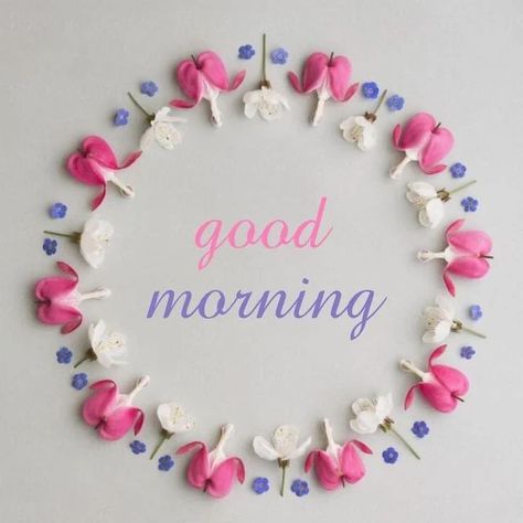 Best Good Morning Images on Instagram: "#goodmorningquotes #GoodMorningEveryone #goodmorningwishes #goodmorning" Best Good Morning Images, Good Morning Sun, Good Morning Gift, Morning Gifs, Morning Wednesday, Beautiful Birthday Wishes, Good Morning Motivation, Dove Pictures, Good Morning Wednesday