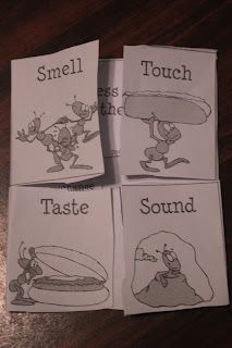 Ant Hill Craft Preschool, Parts Of An Ant Preschool, Ant Worksheet, Ant Science Experiment, Ant Anatomy, Ant Hill Craft, Parts Of An Ant, Ant Unit Study, Anatomy Learning