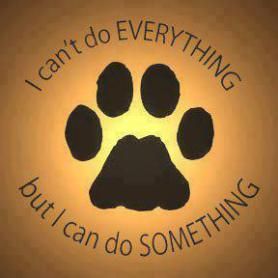 Image Rescue Dog Quotes, Rescue Quotes, Volunteer Quotes, Feral Cat, Game Mode, Animal Advocacy, Feral Cats, Save Animals, Animal Rights