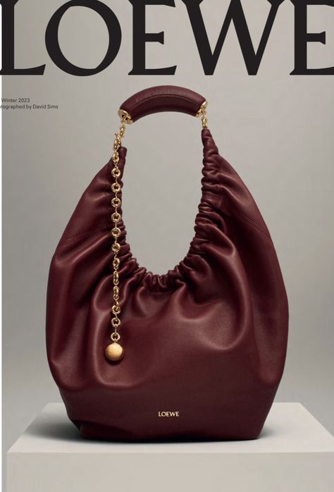 Loewe Fall 2023, 2023 Bags, Maroon Bag, Elephant Bag, Jonathan Anderson, David Sims, Red Leather Bag, Loewe Bag, Girly Bags