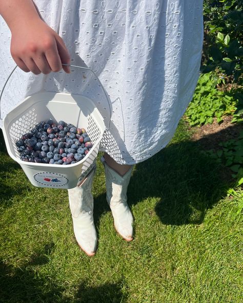 find me in the blueberry fields 🫐🧺✨ ˚₊· ͟͟͞͞➳❥ #blueberries #blueberrypicking #aesthetic #berrypicking #blueberry #berrypickingseason #berrypickingwithfriends blueberry, blueberries, blueberry picking, aesthetic, berry picking, blueberry picking with friends Blueberry Muffin Strawberry Shortcake Aesthetic, Blueberry Picking Aesthetic, Blueberry Bushes Aesthetic, Blueberry Bush Aesthetic, Picking Blueberries, Blueberry Picking, Berry Picking, Strawberry Shortcake, Blueberries