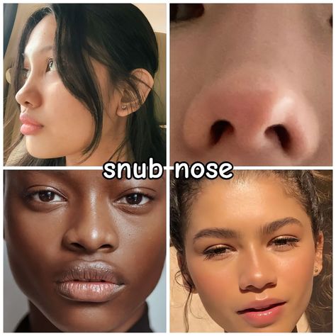 Nose Shapes Chart, Flat Nose Beauty, Nose Bump, Types Of Noses, Nose Types, Shape Chart, Perfect Nose, Nose Shapes, Flat Nose