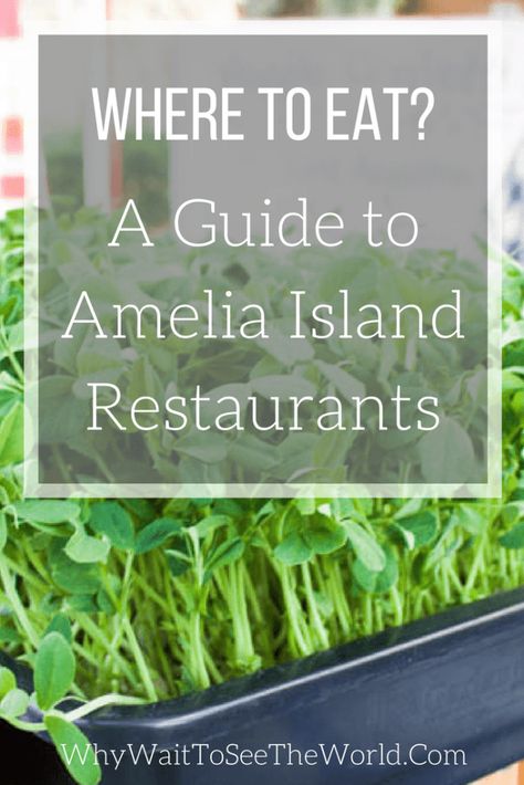 Amelia Island Restaurants, Island Tattoo, Amelia Island Florida, Florida Travel Guide, The Best Burgers, Florida Destinations, Florida Restaurants, Best Burgers, Drinking Around The World