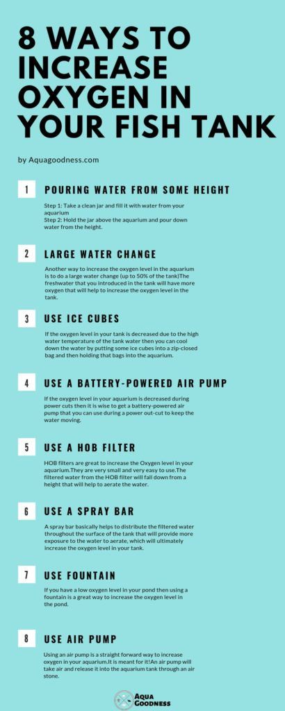 How to Increase Oxygen in Fish Tank? (8 Simple Ways) Fish Tank Hacks, Water Tank Stand, Aquarium Layout, Catfish Farming, Soil Nutrients, Survival Knowledge, Turtle Tank Setup, Turtle Tanks, Fish Tank Gravel