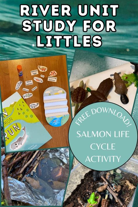 Engaging & Memorable River Unit Study for Pre-Kindergarten Preschool Unit Studies, River Activities For Kids, Kindergarten Unit Studies, Desert Biome, 2nd Semester, Kindergarten Units, Kids Questions, Lake Activities, Kindergarten Projects