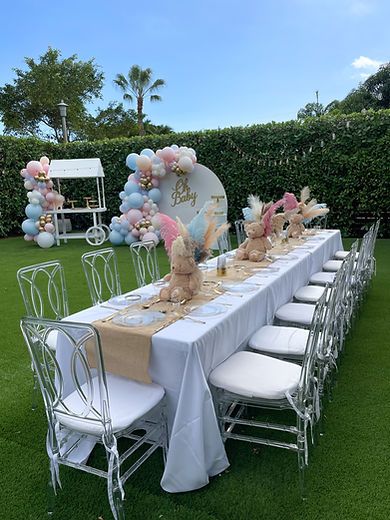 Gender Reveal Chair Decor, Simple Classy Gender Reveal, Gender Reveal Decorations Outdoor Table, Gender Revel Decoracion, Table Decor Gender Reveal, Gender Reveal Tablescape, Backyard Gender Reveal Party Ideas, Gender Reveal Party Set Up, Gender Reveal Ideas Table