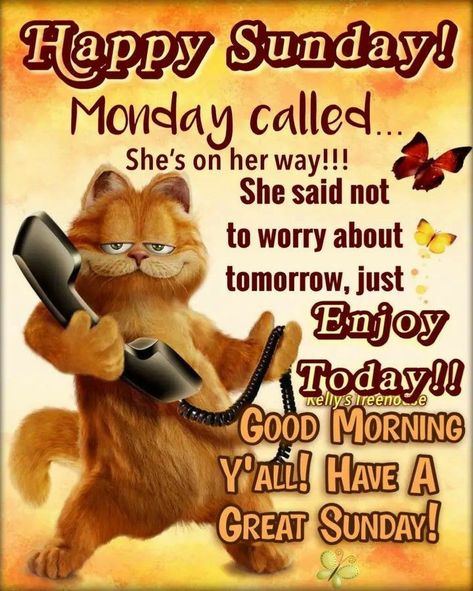 Sunday Coffee Gif, Good Morning Sunday Funny, Happy Sunday Gif, Wednesday Pictures, Weekly Greetings, Sunday Morning Humor, Happy Wednesday Pictures, Memory Quotes, Blessing Quotes