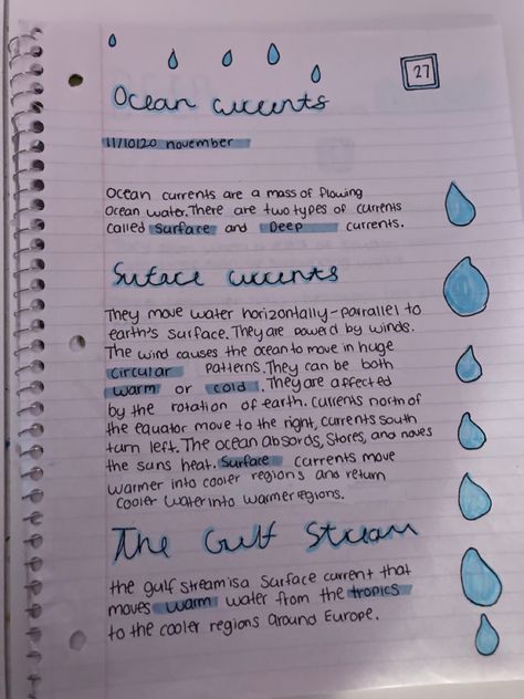 What do your notes look like? Marine Biology Sketchbook, Marine Science Notes, Marine Biology Study Notes Aesthetic, Marine Biology Notes Sharks, Marine Biology Study Notes, Oceanography Notes, Marine Biologist Aesthetic Notes, Marine Biology Journal Pages, Marin Biology