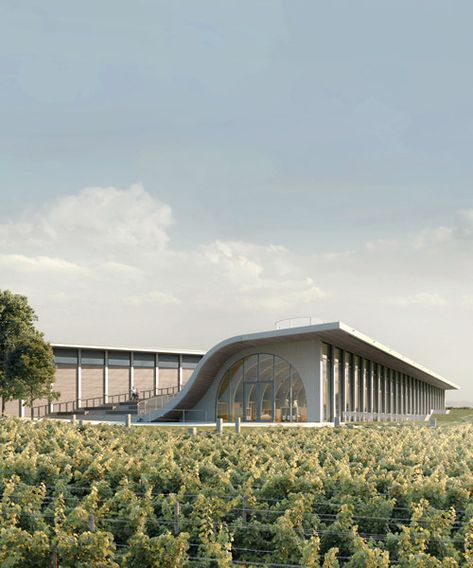 CHYBIK + KRISTOF plans lahofer winery in the czech republic Winery Architecture, Winery Design, Wineries Architecture, Eco Buildings, Concept Models Architecture, Building Images, Architectural Engineering, Architecture Design Drawing, Site Plans