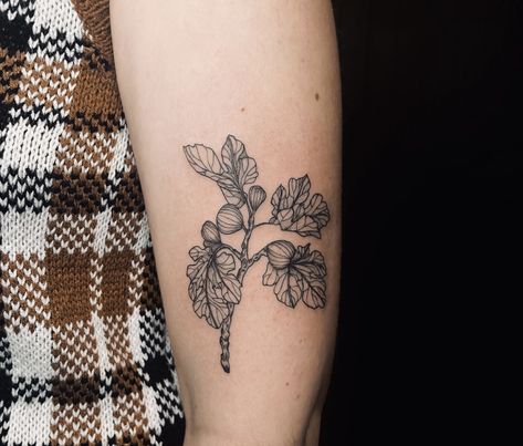 Fig Plant Tattoo, Fig Tree Tattoo The Bell Jar, The Bell Jar Tattoo, Bell Jar Tattoo, Fig Leaf Tattoo, Fig Tree Tattoo, Florence Tattoo, Old Soul Tattoo, Hip Tats